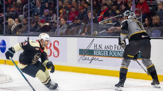 Coachella Valley Firebirds forward Lleyton Roed (29) skates near Henderson Silver Knights defenseman Antti Tuomisto (6) during the third period of an AHL hockey game at Acrisure Arena, Friday, Oct. 30, 2026, in Palm Desert, Calif.