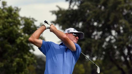 Steve Flesch nabs elusive title at Mitsubishi Electric Classic (Golf)