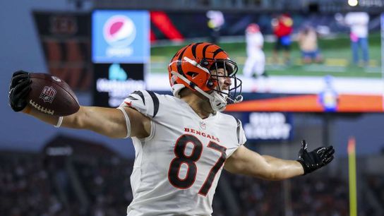 NFL preseason roundup: Bengals defeat Rams in Super Bowl rematch (NFL)