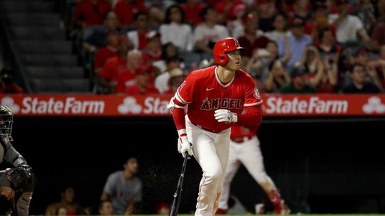 Shohei Ohtani socks two homers as Angels blank Tigers (MLB)