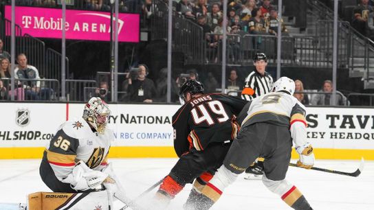 Golden Knights' identity being forged (NHL)