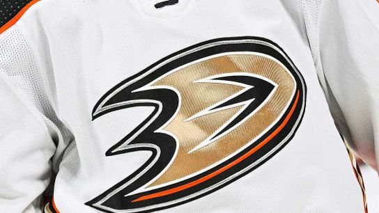 Ducks assistant coach Mike Stothers has Stage 3 melanoma (News)