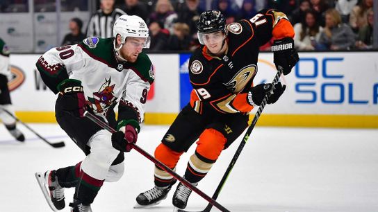 Ducks, Coyotes each enter matchup with nine-game skids (NHL)