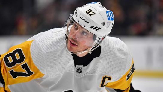 Islanders and Penguins meet, ready to get wild (News)