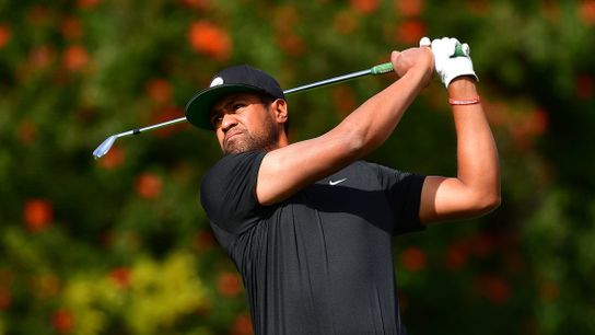 PGA, LPGA announces mixed-team tournament (Golf)
