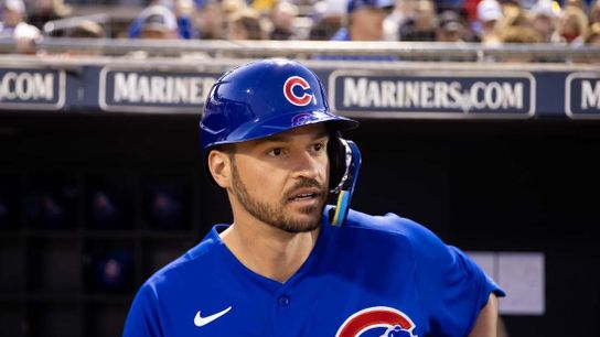 Spring training roundup: Cubs homer their way past Reds (MLB)