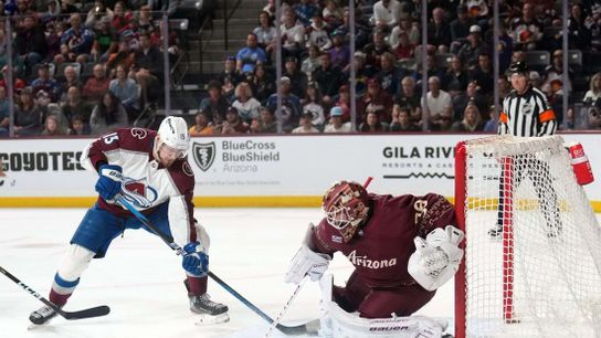 In thick of division race, Avs can't overlook Ducks (NHL)