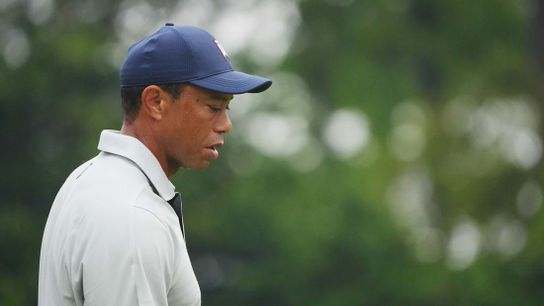 Tiger Woods joins Rory McIlroy in favor of golf ball rollback (Golf)