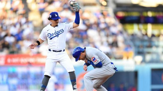Back-to-back blasts give Cubs series win over Dodgers (MLB)