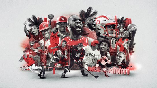 City of Angels and Champions (MLB)