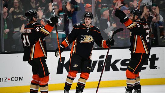 Ducks sign C Isac Lundestrom to 2-year extension (NHL)