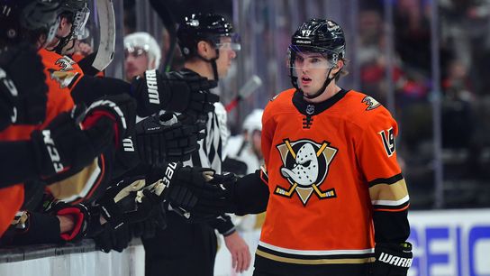 Ducks will have to replace Terry's production 'by committee' (NHL)