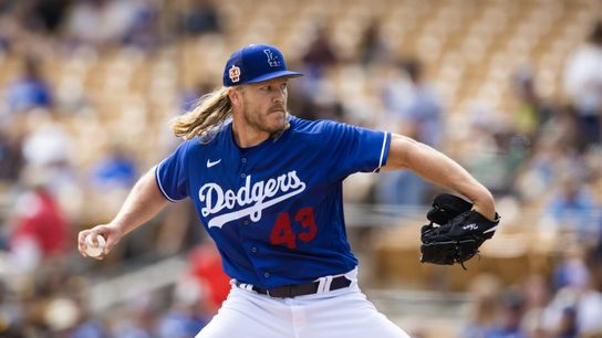 Trio of pitchers shine as Dodgers beat Padres 8-3 (MLB)