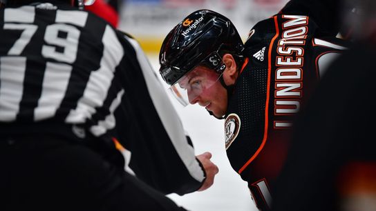 Quack of Dawn: Ducks Report (News)