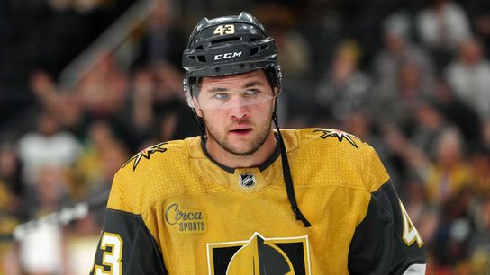 Somebody needs to win the job on Golden Knights' 3rd line (News)