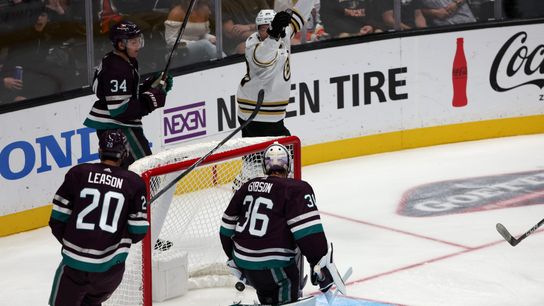 Ducks drop weekend series to Coyotes and Bruins (News)