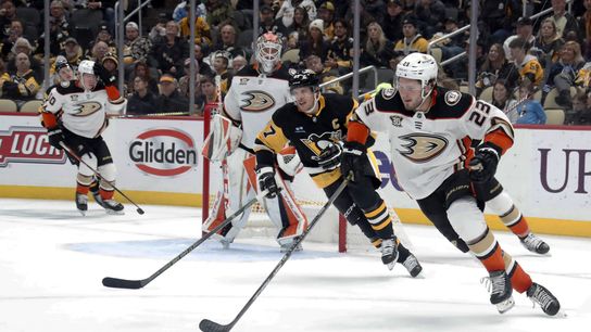 Ducks sweep four-game road trip in style (News)