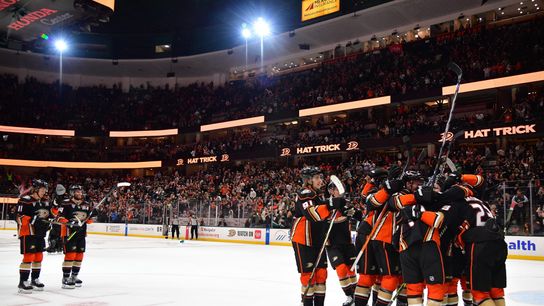 Ducks bite back in comeback win over Coyotes thanks to Terry’s hat trick (News)