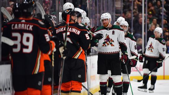 Ducks muzzled by Coyotes in shutout loss (News)