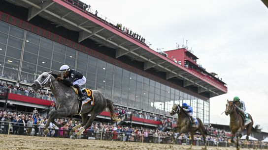 Scratch of Muth, rain causes Preakness to lose raceday luster (Betting)