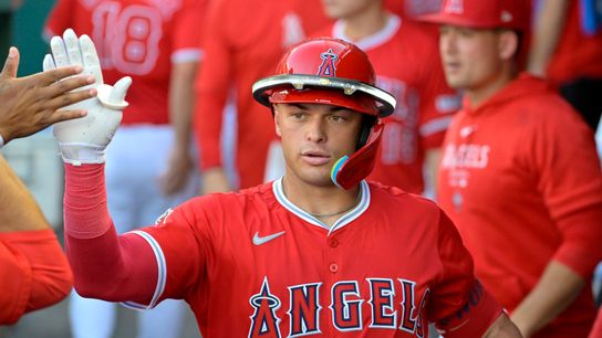 O'Hoppe homers twice, but Angels woes continue in loss to Rangers taken Angel Stadium (Los Angeles Angels)