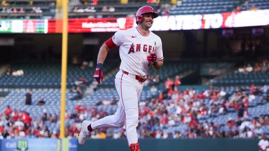 Angels roster updates: Meckler, Walton called up, Lowe sent down, Moncada moved to IL taken at Angel Stadium (Los Angeles Angels)