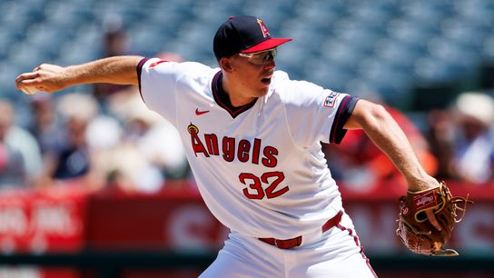 Ryan Johnson recovers after leadoff home run to save Angels from sweep against Tigers taken at Angel Stadium (Los Angeles Angels)