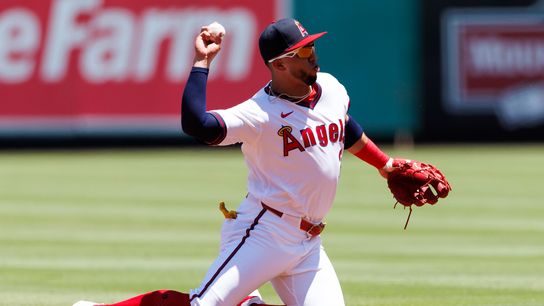 TST Images: Cardinals defeat Angels, 1-0, at Angel Stadium taken at Angel Stadium (Los Angeles Angels). Photo by Ric Tapia - The Sporting Tribune