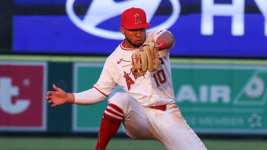 TST Images: Rays defeat Angels, 7-3, at Angel Stadium taken at Angel Stadium (Los Angeles Angels)