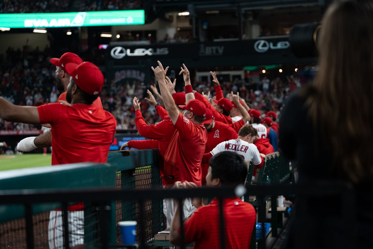 Los Angeles Angels dugout celebrate a in field hit that lead to a score during an MLB game against the Tampa Bay Rays at Angel Stadium on June 13, 2026, in Anaheim, California.