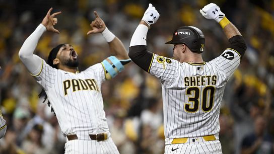 Padres turn last year’s pain into playoff redemption against Cubs taken at Petco Park (San Diego Padres)