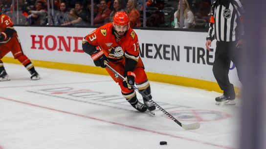 Ducks forward Robby Fabbri undergoes meniscus surgery, out 6 weeks taken Anaheim (Anaheim Ducks)