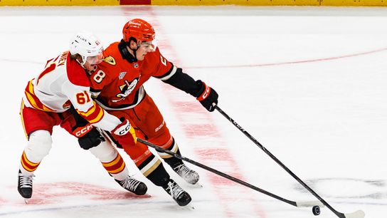 Ducks dumped late by winless Flames, 4-2 taken at Honda Center (Anaheim Ducks). Photo by Steven Park - The Sporting Tribune