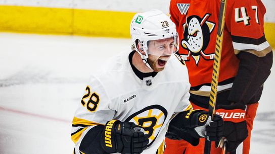 TST Images: Bruins defeat Ducks, 4-2, in Anaheim taken at Honda Center (Anaheim Ducks). Photo by Steven Park - The Sporting Tribune