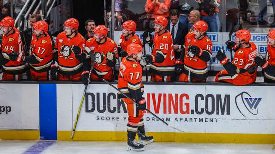 Ducks Quarter-Season Review: Goaltending carries Anaheim early, as offense finds identity, output taken at Honda Center (Anaheim Ducks)