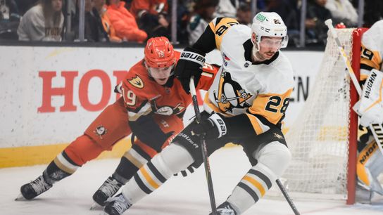 TST Images: Ducks defeat Penguins, 5-1, at Honda Center taken at Honda Center (Anaheim Ducks)