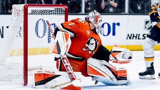 TST Images: Ducks beat Predators, 5-2, at Honda Center taken at Honda Center (Anaheim Ducks)