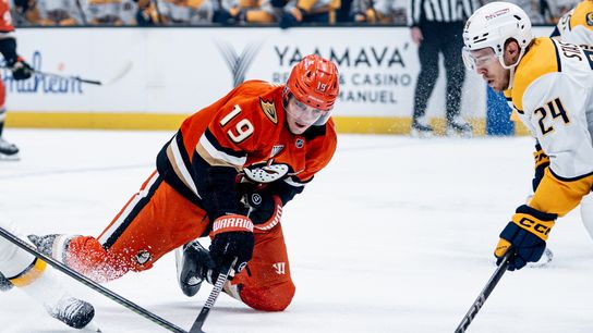 Ducks sweep season series against Nashville Predators  taken at Bridgestone Arena (Anaheim Ducks)