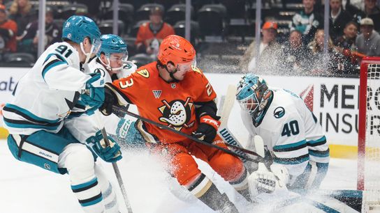 TST Images: Ducks defeat Sharks, 4-3, at Honda Center  taken at Honda Center (Anaheim Ducks)