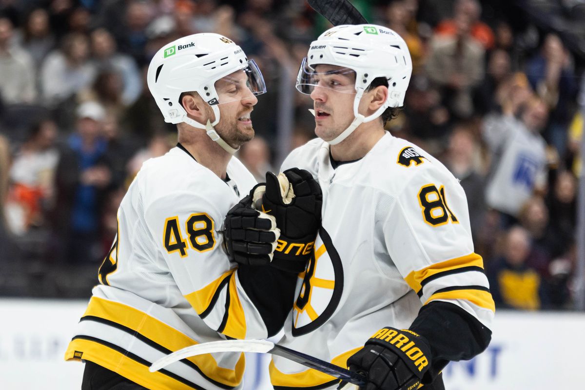Boston Bruins L Jeffrey Viel (48) and C Michael Eyssimont (81) celebrates together after a goal during an NHL game against the Anaheim Ducks on November 19, 2025 in Anaheim, Calif.