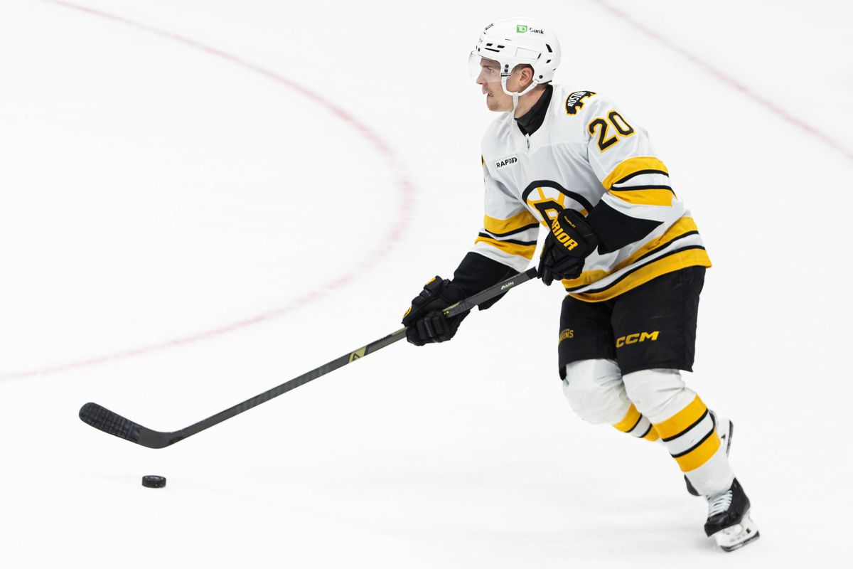 Boston Bruins D Henri Jokiharju (20) skates with the puck during an NHL game against the Anaheim Ducks on November 19, 2025 in Anaheim, Calif.