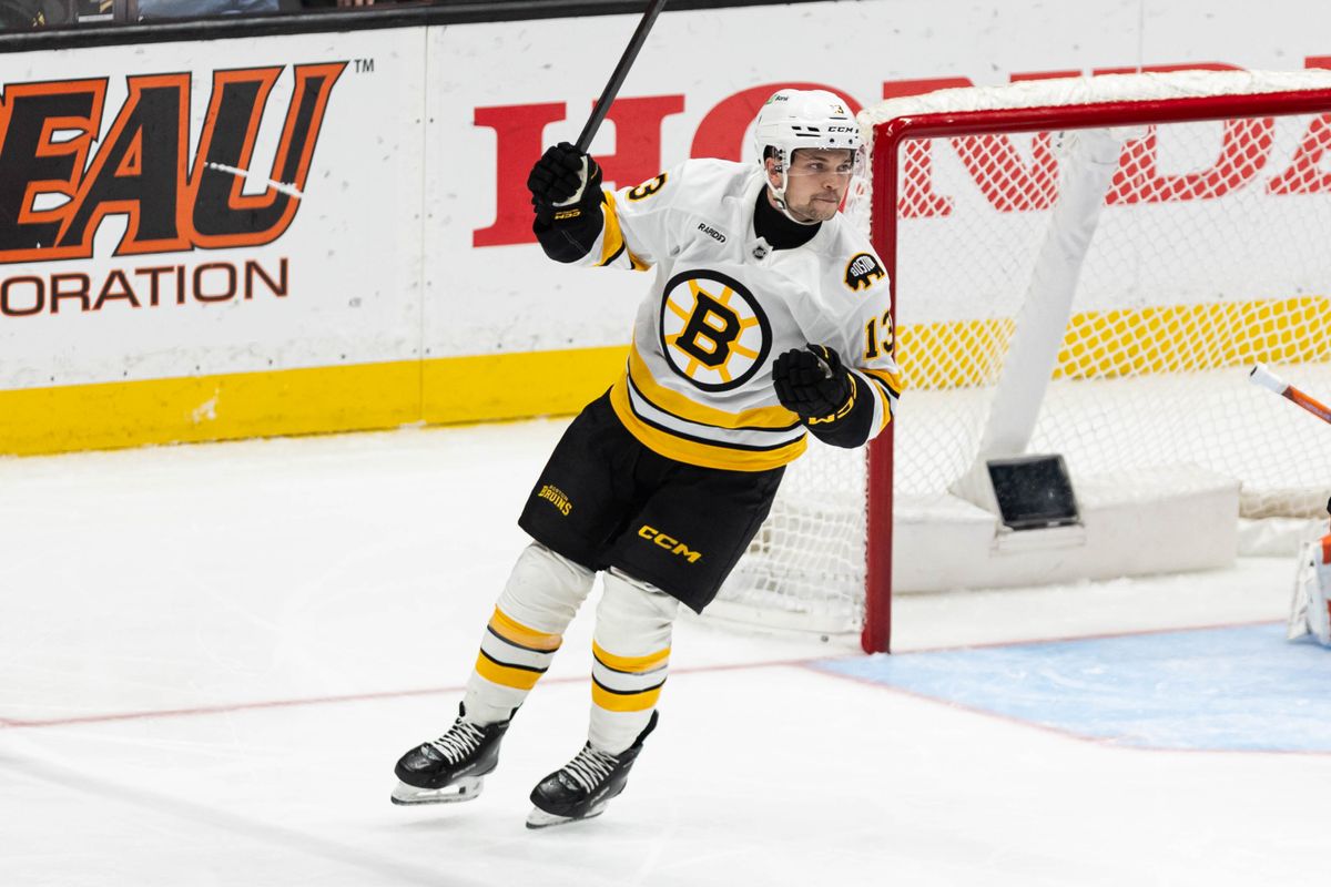 Boston Bruins R Matej Blümel (13) celebrates after scoring a goal during an NHL game against the Anaheim Ducks on November 19, 2025 in Anaheim, Calif.