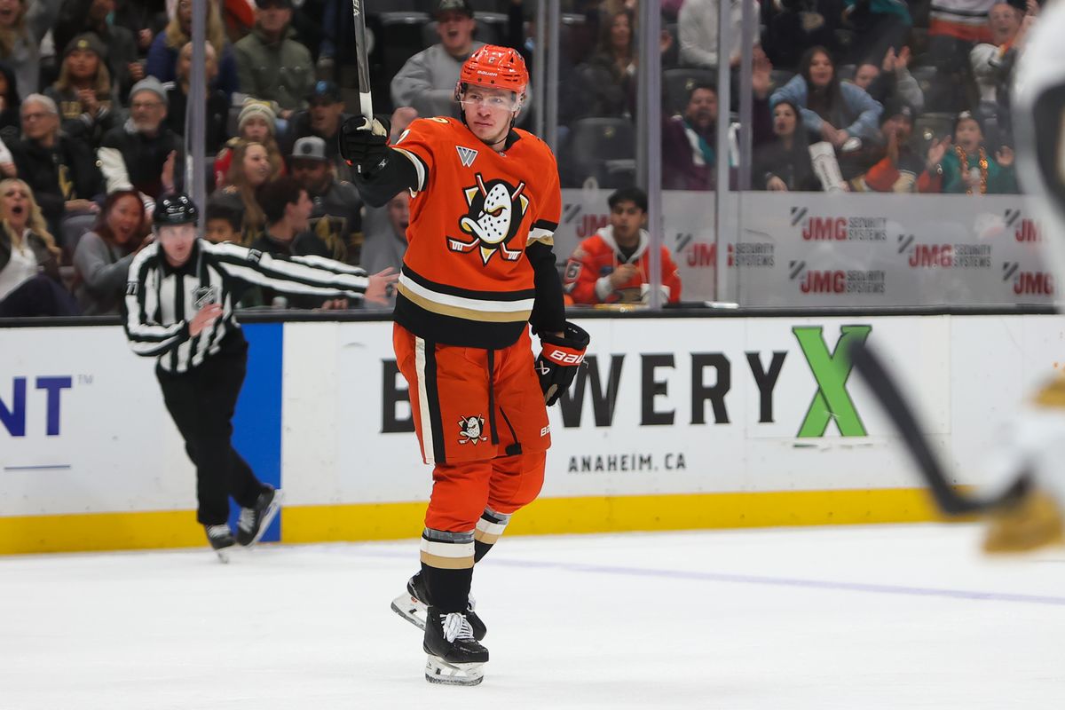 #2 D Jackson LaCombe of the Anaheim Ducks celebrates a goal in the first period during an NHL game against the Las Vegas Golden Knights on November 22, 2025 in Anaheim, Calif.