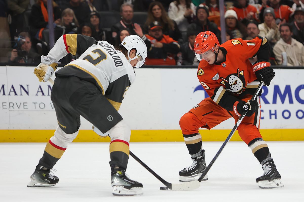#19 RW Troy Terry of the Anaheim Ducks battles for the puck during an NHL game against the Las Vegas Golden Knights on November 22, 2025 in Anaheim, Calif.