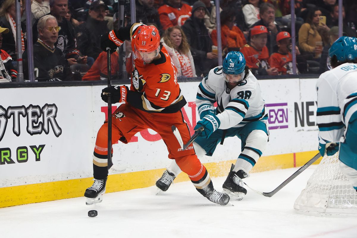 #13 C Nikita Nestrenko of the Anaheim Ducks battles for possession of the puck during an NHL game against the San Jose Sharks on December 29, 2025 in Anaheim, California.