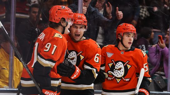 Ducks GM Verbeek: 'Worth it' to finally trade collected assets, make playoff push taken at Honda Center (Anaheim Ducks). Photo by Darwin Walker - The Sporting Tribune