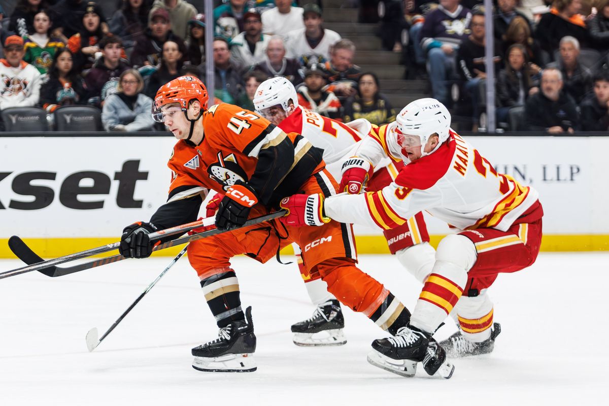 Anaheim Ducks right wing Beckett Sennecke (45) fights for the puck during an NHL hockey game against the Calgary Flames, Saturday April 4, 2026 in Anaheim, Calif.