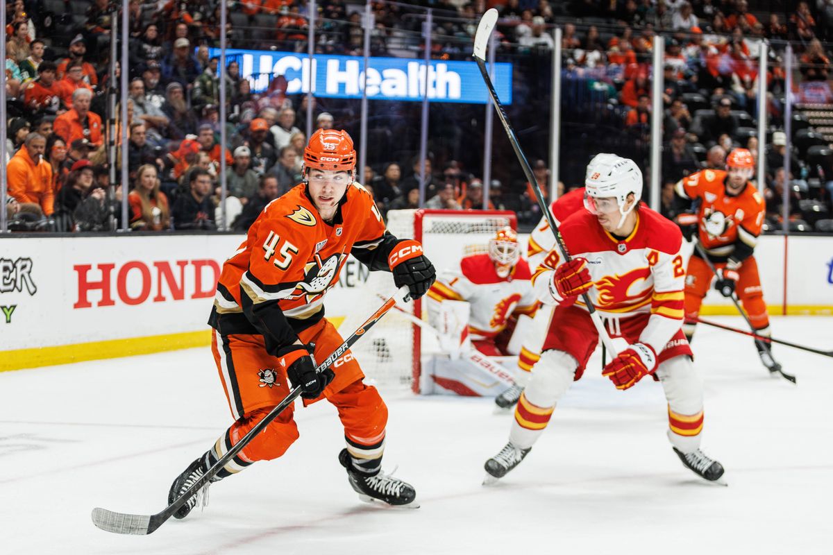 Anaheim Ducks right wing Beckett Sennecke (45) fights for the puck during an NHL hockey game against the Calgary Flames, Saturday April 4, 2026 in Anaheim, Calif.