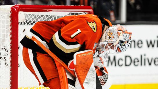 Ducks continue free fall, shutout by Predators in sixth straight loss taken at Honda Center. Photo by Jordan Carroll - The Sporting Tribune