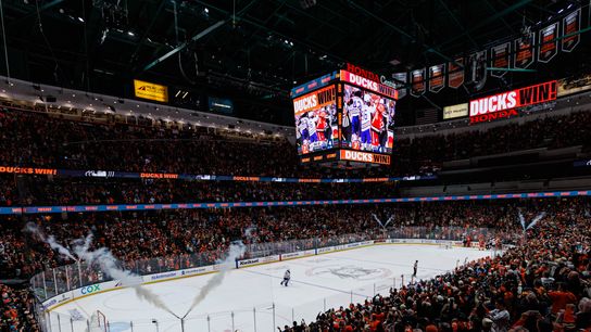 Deafening Ducks fan "army" earned its Game 3 moment taken at Honda Center (Anaheim Ducks). Photo by Steven Park - The Sporting Tribune